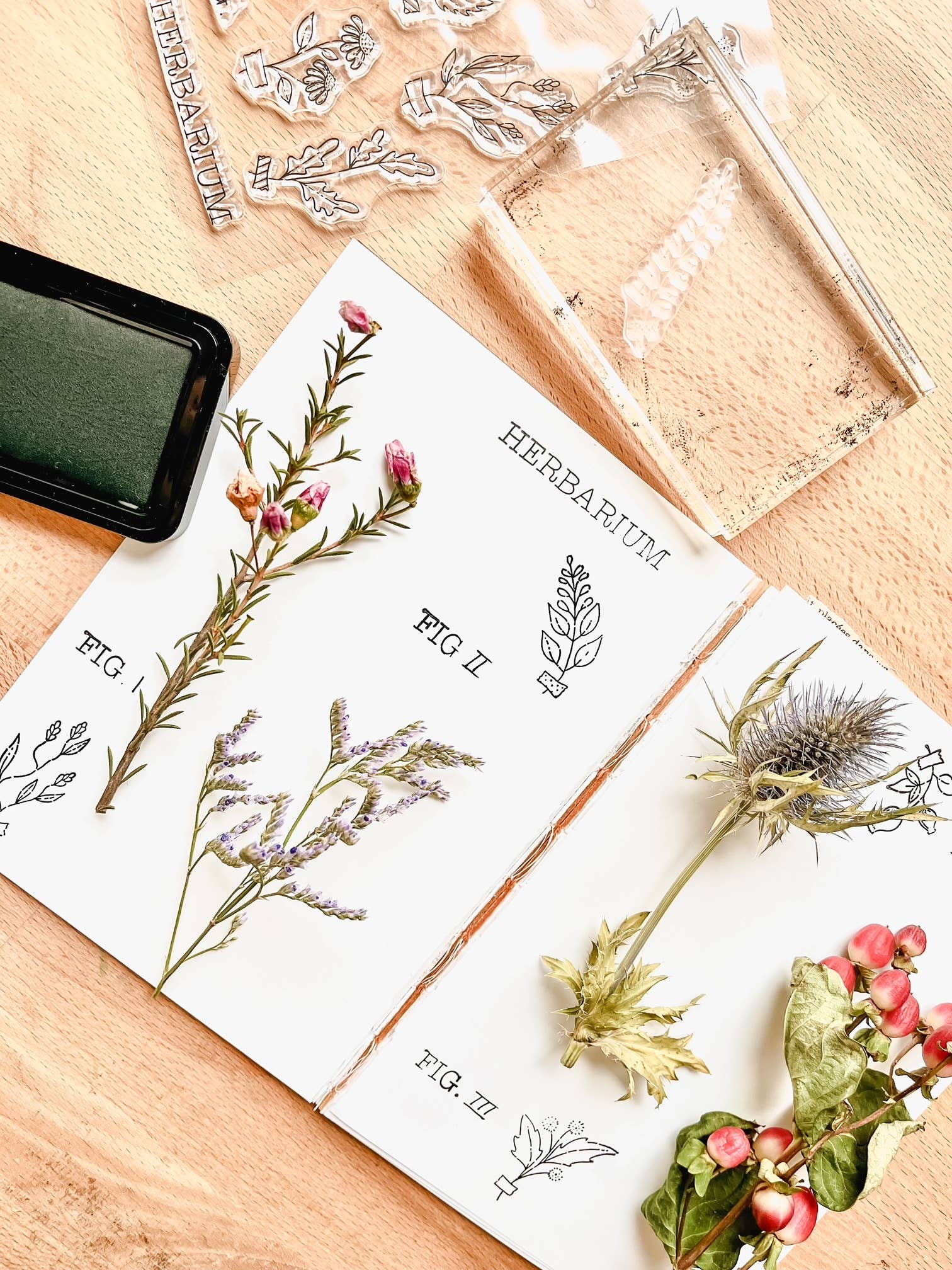 Herbarium Clear Stamp Set