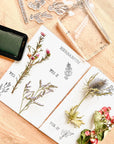 Stamp set - Herbarium