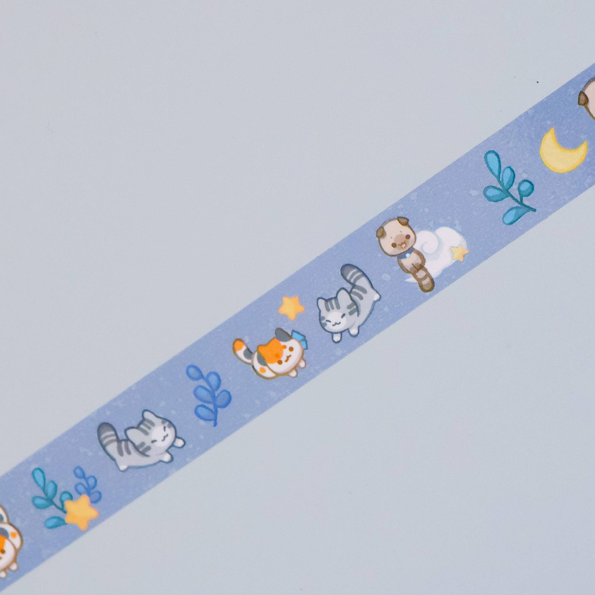 First Meow Kit - Kittens PET tape