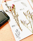 Stamp set - Herbarium
