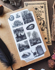 PRE-ORDER : 2025 Halloween Advent Calendar