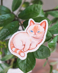 Flame Point Siamese Cat Vinyl Sticker
