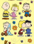 Peanuts Grab Bag