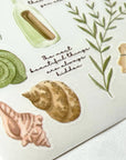 Woodland Treasures Rub-On Sticker Sheet
