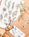 Stamp set - Herbarium