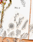 Stamp set - Herbarium