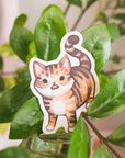 Sparkles Begs for Food Vinyl Sticker
