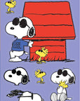 Peanuts Grab Bag