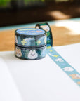 Catching Starlight PET Tape