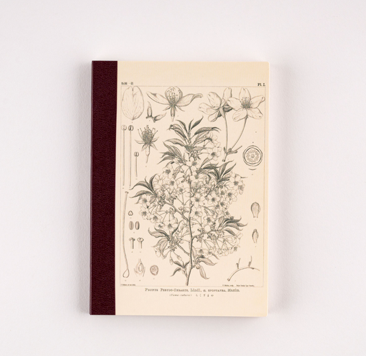 Yamazakura Hobonichi Plain Notebook