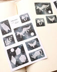 Star Signs Sticker Sheet